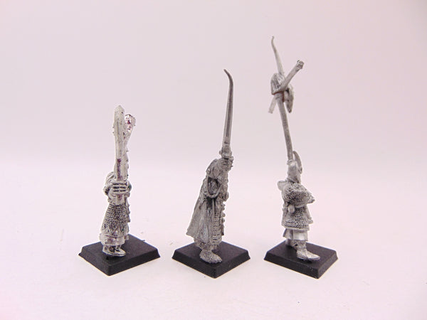 Dark Elf Command Group