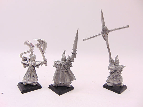 Dark Elf Command Group