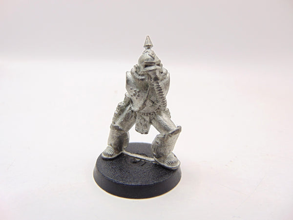 Chaos Plague Marine