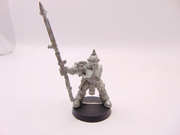 Plague Marine Icon Bearer