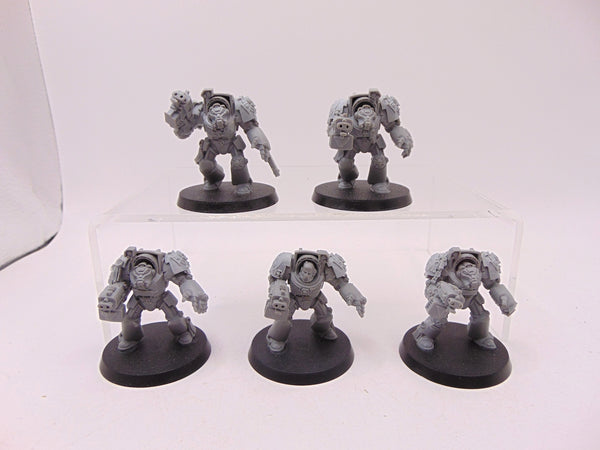 Terminator Squad