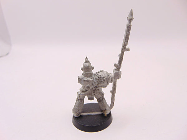 Plague Marine Icon Bearer