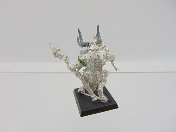 Beastmen Shaman