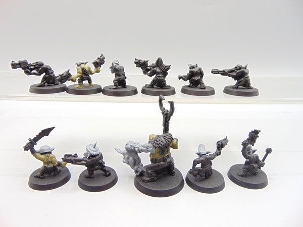 Gretchin & Runtherd