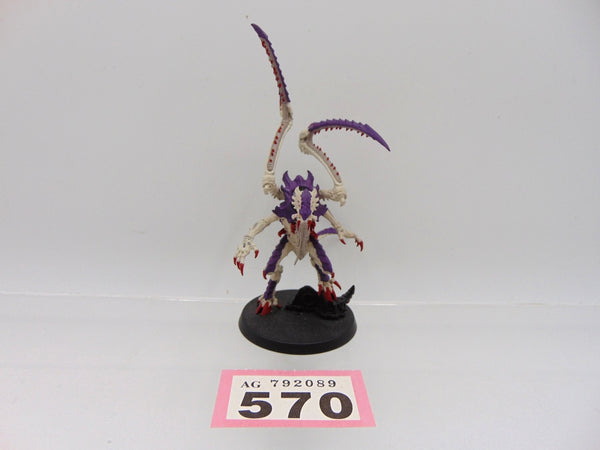 Lictor