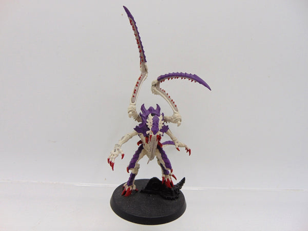 Lictor