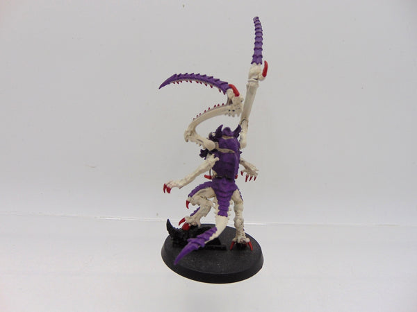 Lictor