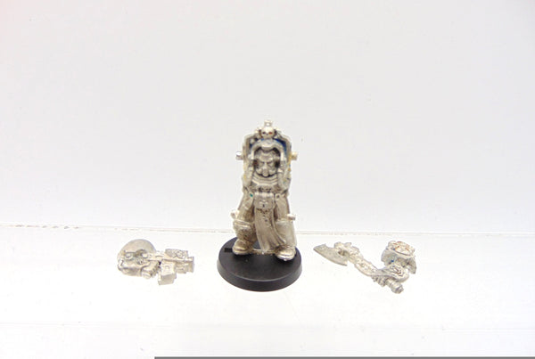 Terminator Librarian