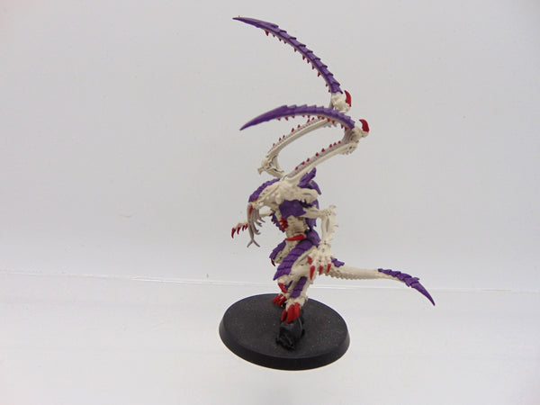 Lictor