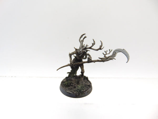Branchwych