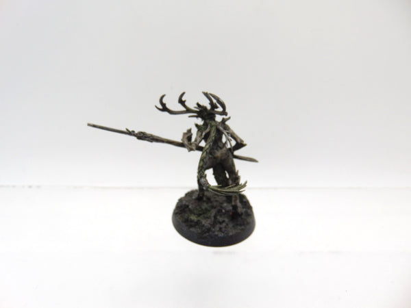 Branchwych