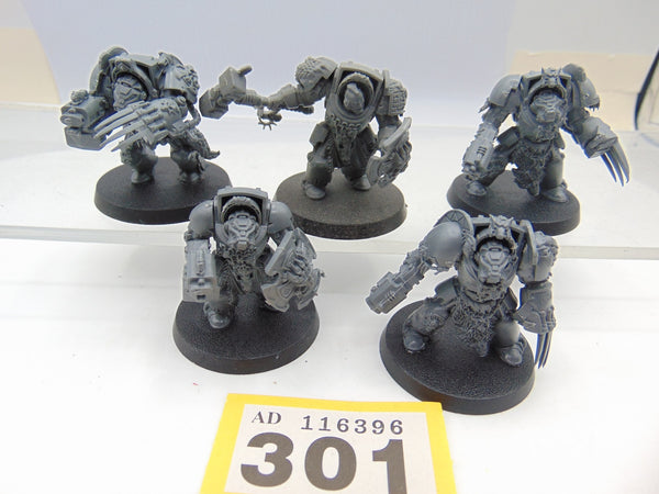 Wolf Guard Terminators