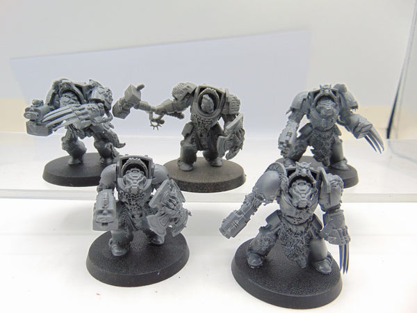 Wolf Guard Terminators