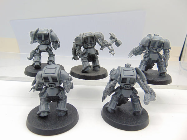 Wolf Guard Terminators