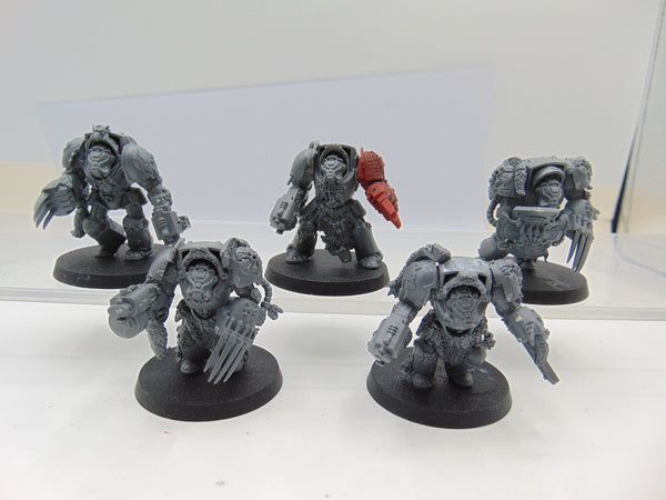 Wolf Guard Terminators