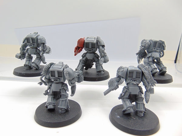 Wolf Guard Terminators