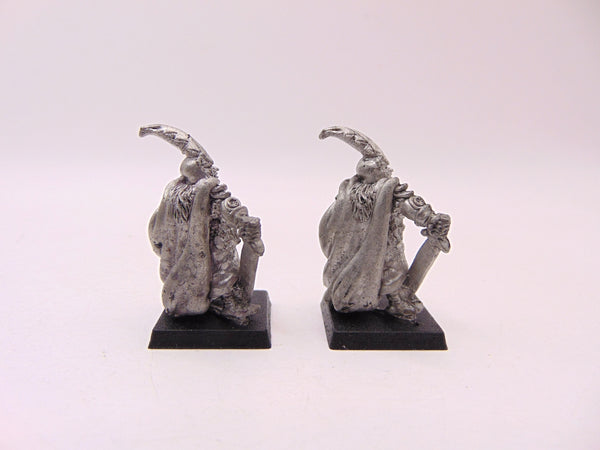 BC2 Evil Dark Elf Captain