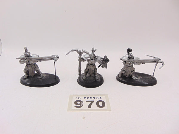 Vanguard Raptors