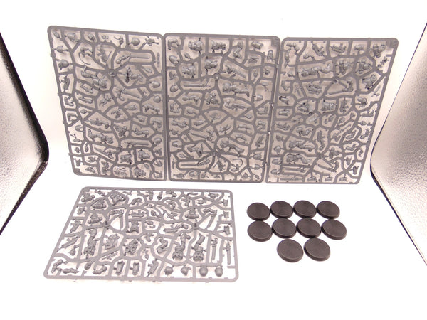 Grey Hunters / Blood Claws