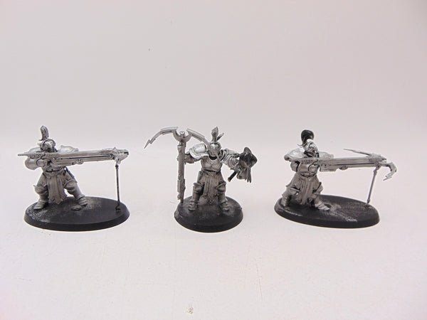 Vanguard Raptors