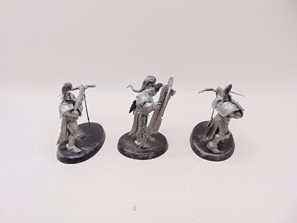 Vanguard Raptors