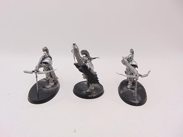 Vanguard Raptors