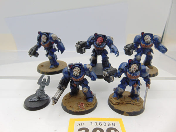 Terminator Squad