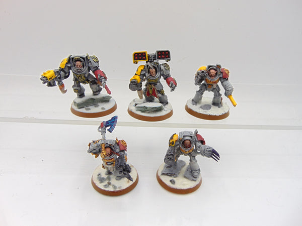 Wolf Guard Terminators