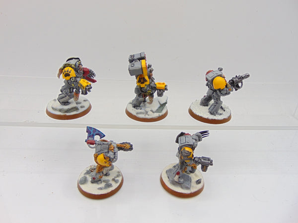 Wolf Guard Terminators