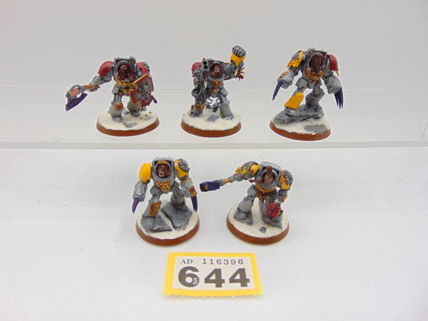 Wolf Guard Terminators