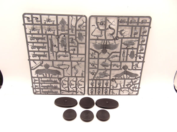 Vaguard Raptors & Aetherwings