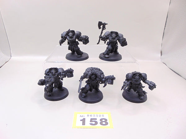 Wolf Guard Terminators