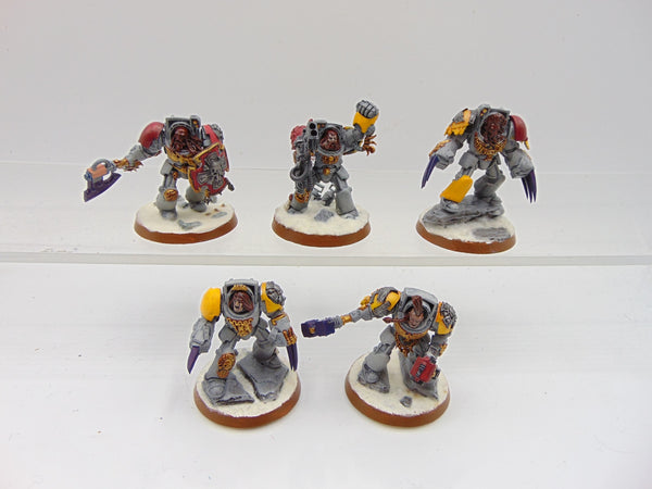 Wolf Guard Terminators