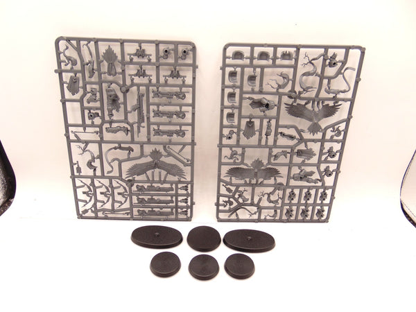 Vaguard Raptors & Aetherwings