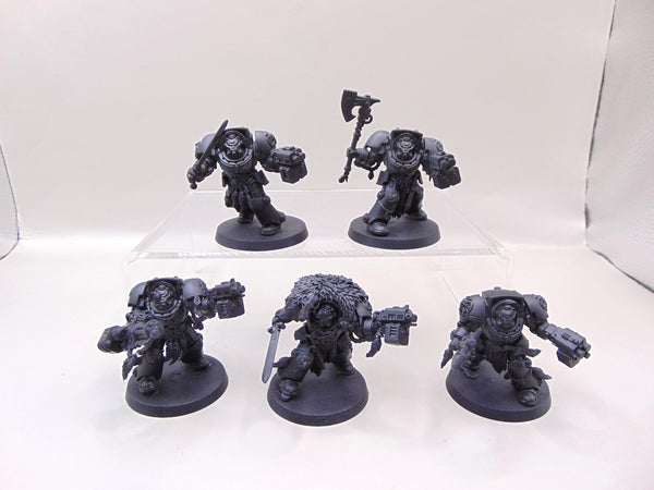 Wolf Guard Terminators