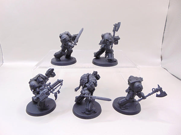 Wolf Guard Terminators