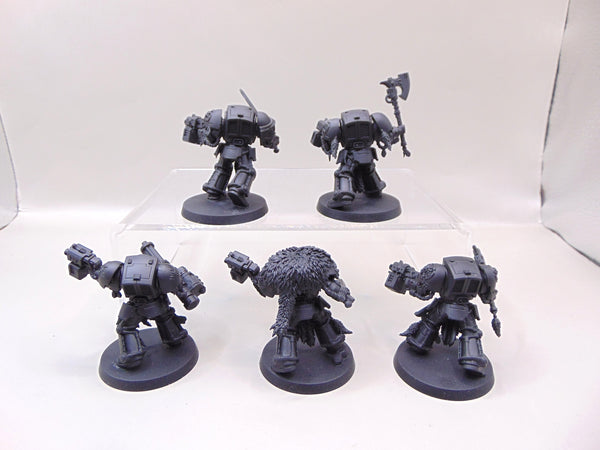 Wolf Guard Terminators