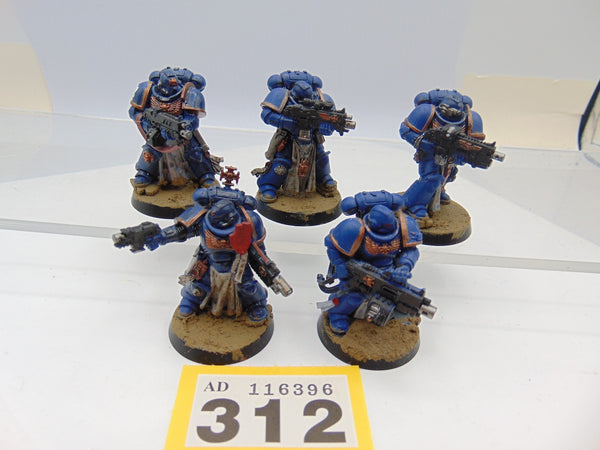 Sternguard Veterans