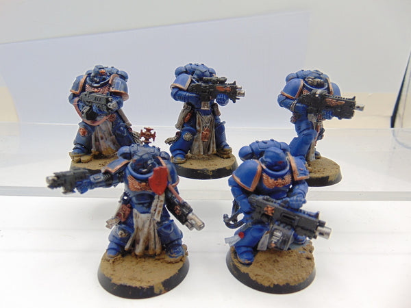 Sternguard Veterans