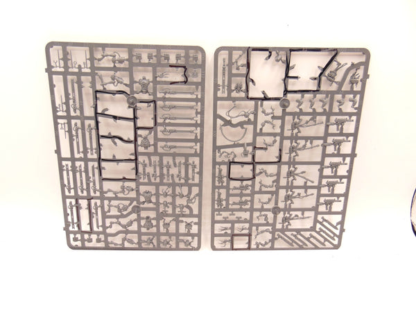 Sicarian Infiltrators / Ruststalkers