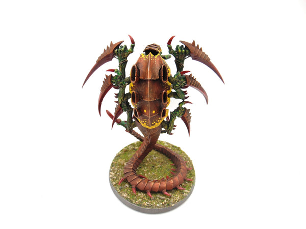 Trygon