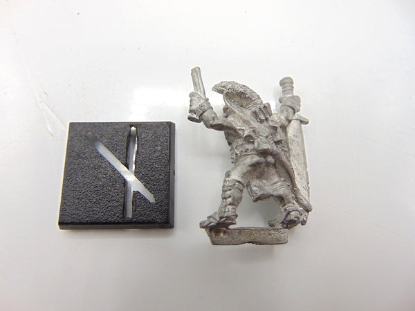 Haken's Reavers Chaos Thug Champion