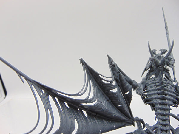 Vampire Lord on Zombie Dragon