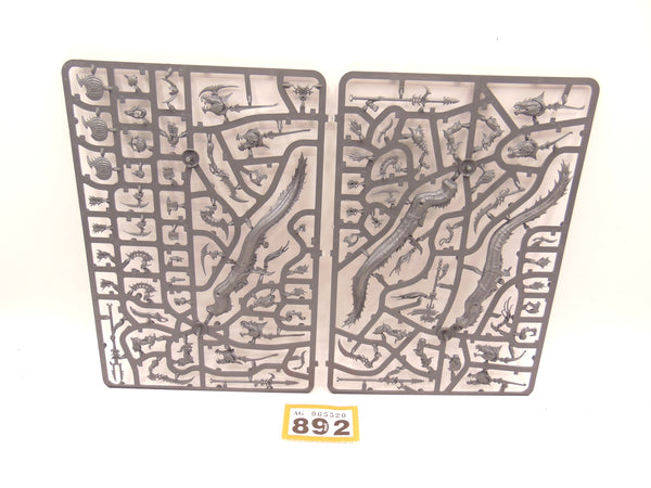 Akhelian Morrsarr / Ishalean Guard