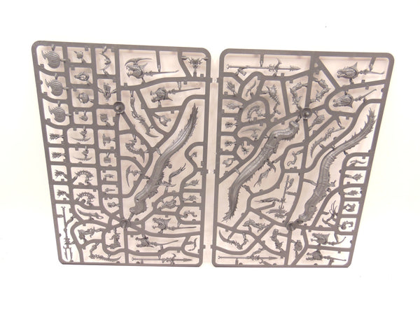 Akhelian Morrsarr / Ishalean Guard