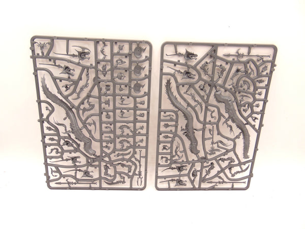 Akhelian Morrsarr / Ishalean Guard