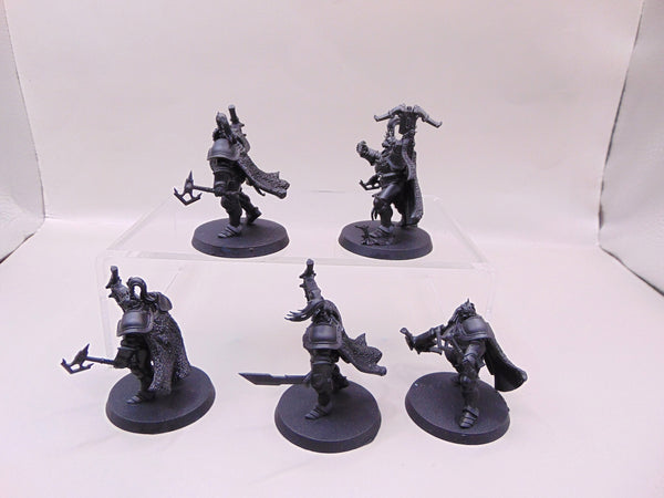 Vanguard Hunters