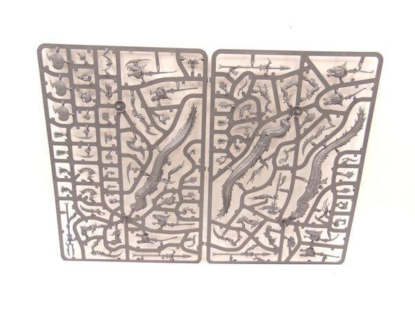 Akhelian Morrsarr / Ishalean Guard