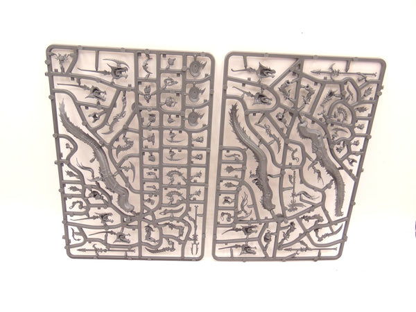 Akhelian Morrsarr / Ishalean Guard