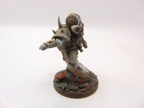 Kholerus